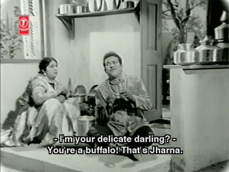 reh_buffalo reh_buffalo