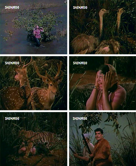 shikari_jungleadventure