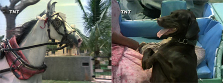 mard_badal_moti mard_badal_moti