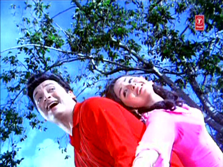 msh_amarradha msh_amarradha