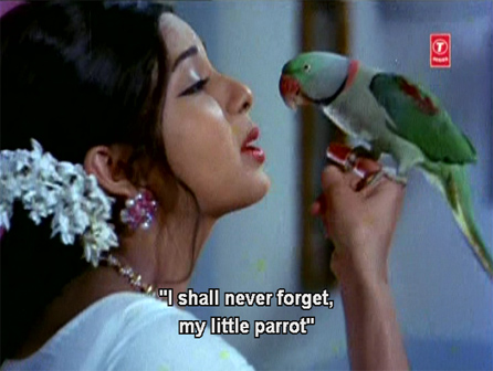 msh_parrot msh_parrot