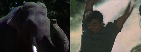 gauri_accident gauri_accident