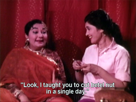 nhkt_betelnut nhkt_betelnut