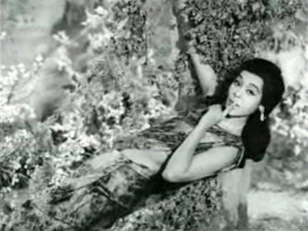 smuggler_song smuggler_song