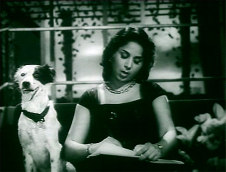 mrindia_geetacharlie mrindia_geetacharlie