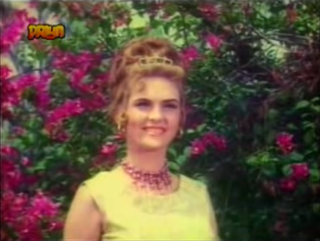 twist_robinhood_chikchari