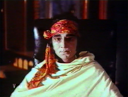 jaanejaan_taxidermy2